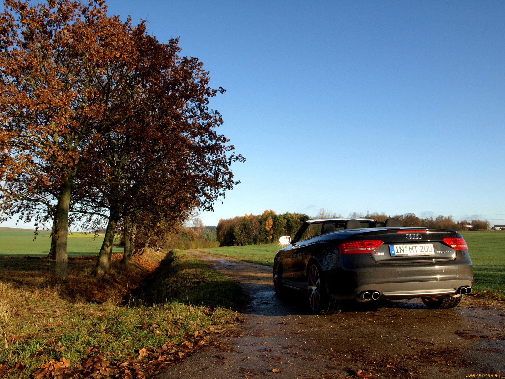 , audi